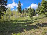 50 Thads Peak Dr - Photo 1