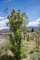 523 200 - Photo 47
