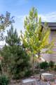 523 200 - Photo 49