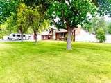1569 1500 - Photo 1