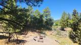 1505 Elk Dr - Photo 49