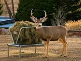 164 100 - Photo 122