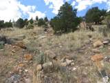 700 Spring Canyon Dr - Photo 15