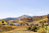 2303 Deer Hollow Rd - Photo 15