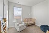 947 Coral Charm Way - Photo 14