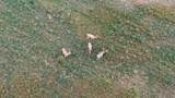 7250 Hanley Ln - Photo 14