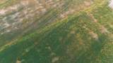 7250 Hanley Ln - Photo 3