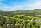 2559 Lupine Ln - Photo 52