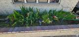 1433 2060 - Photo 7