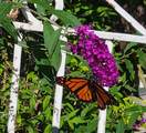 4213 2850 - Photo 33