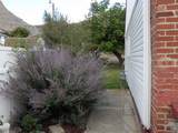 57 C St - Photo 44