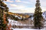6838 Aspen Dr - Photo 6