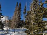 6838 Aspen Dr - Photo 8