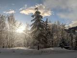 8807 Timphaven Rd - Photo 17