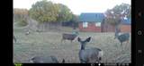 11360 Skyline Dr - Photo 3