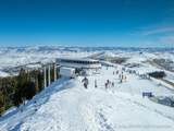 14311 Buck Horn Trl - Photo 29