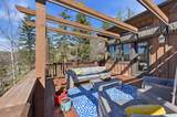 3238 Big Spruce Way - Photo 39