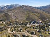 3238 Big Spruce Way - Photo 47