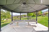 306 Bella Vida Dr - Photo 39