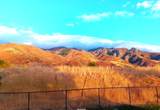 2564 2600 - Photo 17