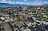 11672 Willow Walk Dr - Photo 45
