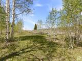 23133 Alta Dr - Photo 13