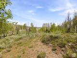 23133 Alta Dr - Photo 17