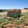 1251 Eastland Rd - Photo 48