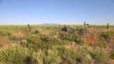 1251 Eastland Rd - Photo 57