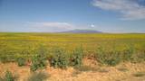 1251 Eastland Rd - Photo 60