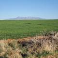 1251 Eastland Rd - Photo 61