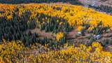12490 Old Stage Rd - Photo 8