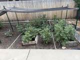 1332 Thornton Ave - Photo 49