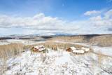 11042 Wild Elk Mdw - Photo 63