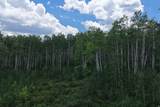 22126 Elk Meadow Dr - Photo 4