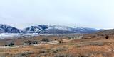 4500 Seven Bridges - Photo 14