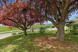 3107 Cub Rd - Photo 40