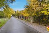 6274 Oles Ln - Photo 95