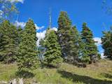 50 Thads Peak Dr - Photo 5