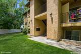 804 Cedar Pine Ct - Photo 2