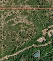 14185 Birch Creek Dr - Photo 1