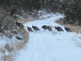 8398 Highway 302 - Photo 43