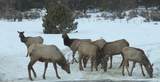 8398 Highway 302 - Photo 45