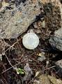 12490 Old Stage Rd - Photo 14