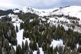 329 White Pine Canyon Rd - Photo 20
