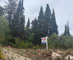 6741 Aspen Dr - Photo 10