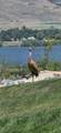 6226 Hawks Ln - Photo 46