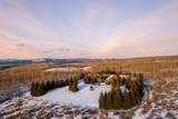 10716 Forest Creek Rd - Photo 43