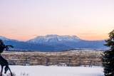 10716 Forest Creek Rd - Photo 46
