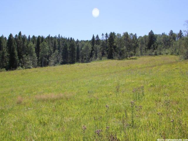 11 Stock Ln - Photo 1